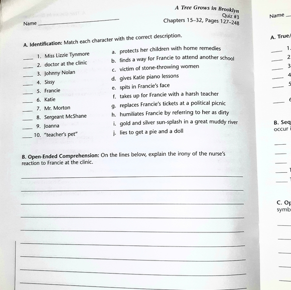 A Tree Grows in Brooklyn Happy homeschooler set - Picture 5 of 7